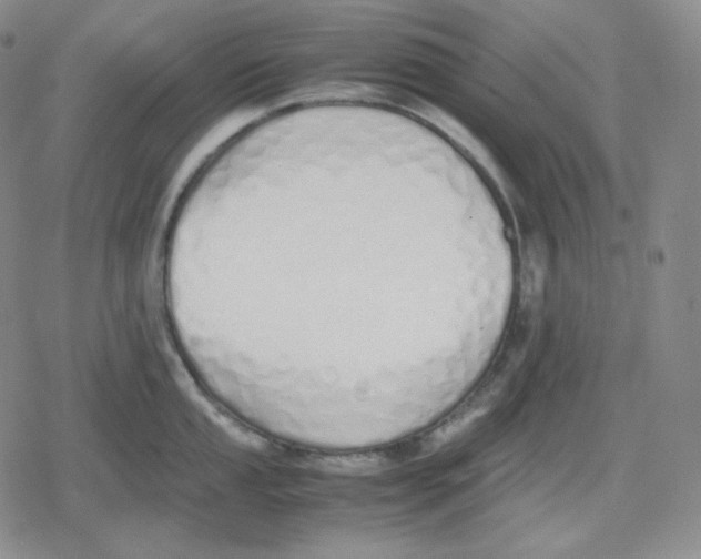 X0000079301053200612151722