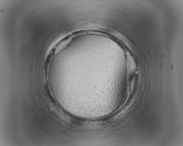 X0000079301069200612151721