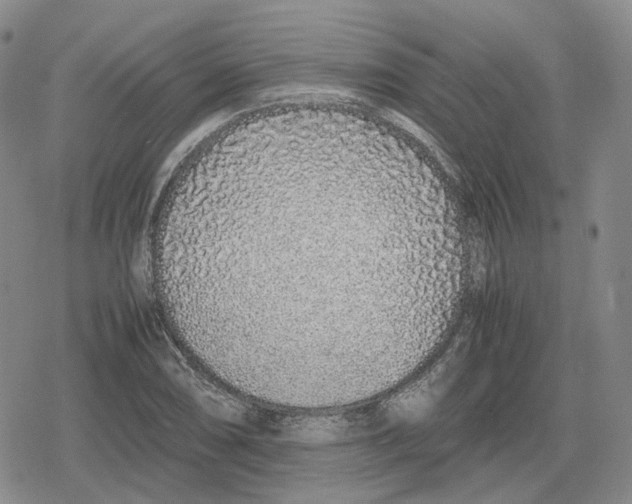 X0000079301074200612151721