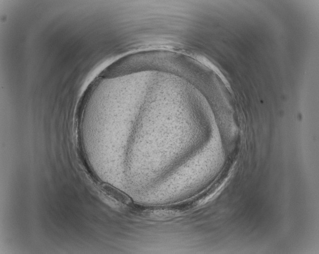 X0000079301077200612151721