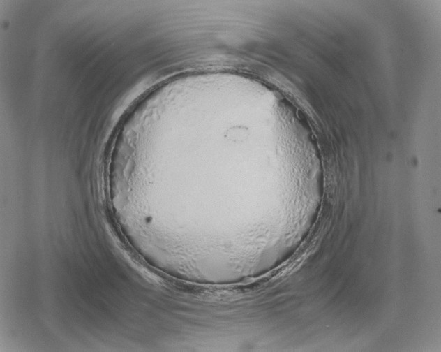 X0000079301083200612151721