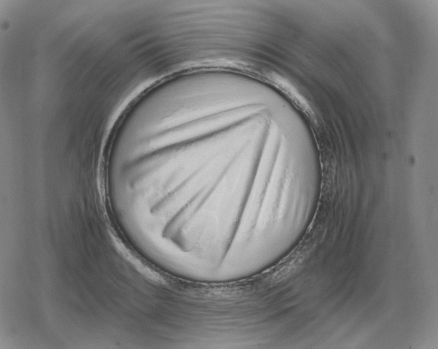 X0000079301084200612151721