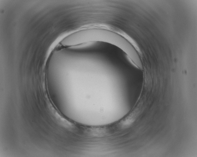X0000079301102200612151721