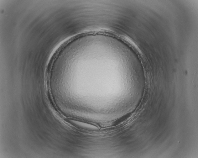X0000079301124200612151720