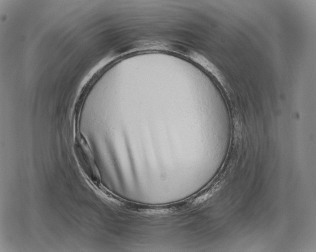 X0000079301127200612151720