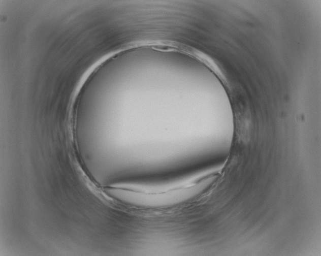 X0000079301148200612151721
