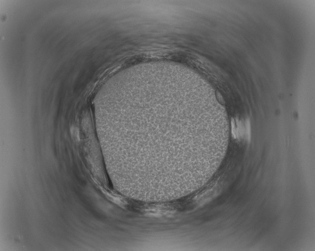 X0000079301155200612151720