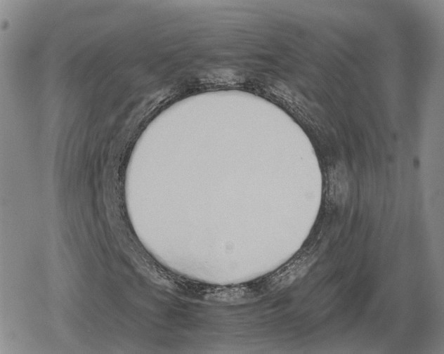 X0000079301201200612151718