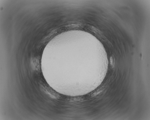 X0000079301203200612151718
