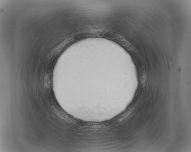X0000079301204200612151718