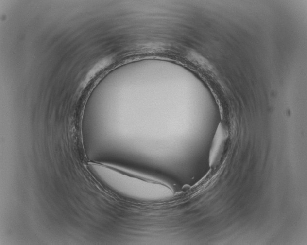 X0000079301210200612151718