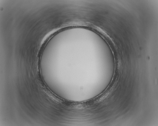 X0000079301222200612151719