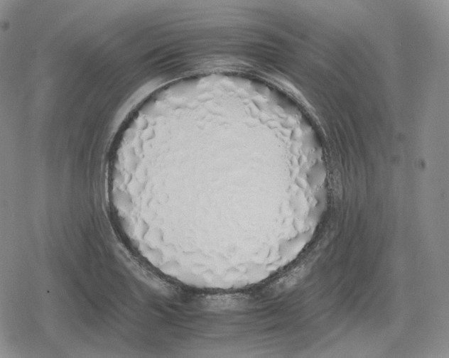 X0000079301227200612151719