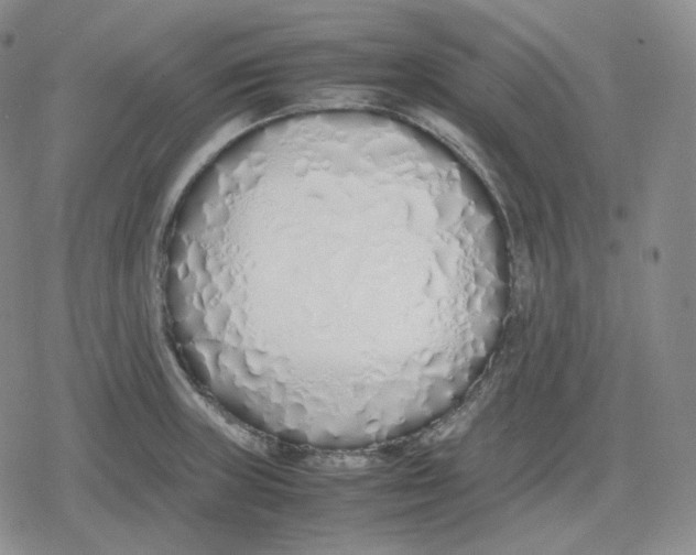 X0000079301235200612151719