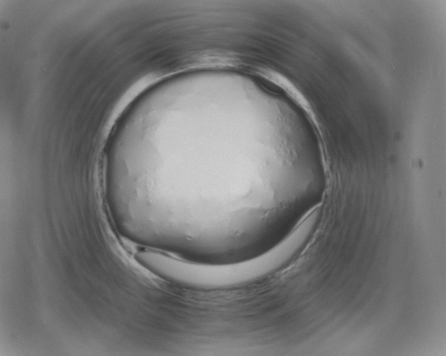 X0000079301243200612151719