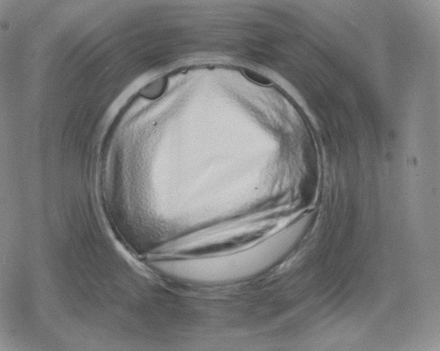 X0000079301245200612151719