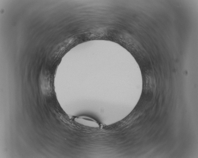 X0000079301250200612151718