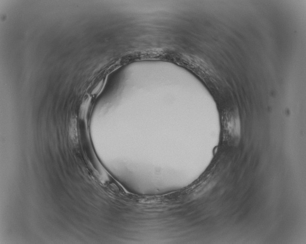X0000079301252200612151718