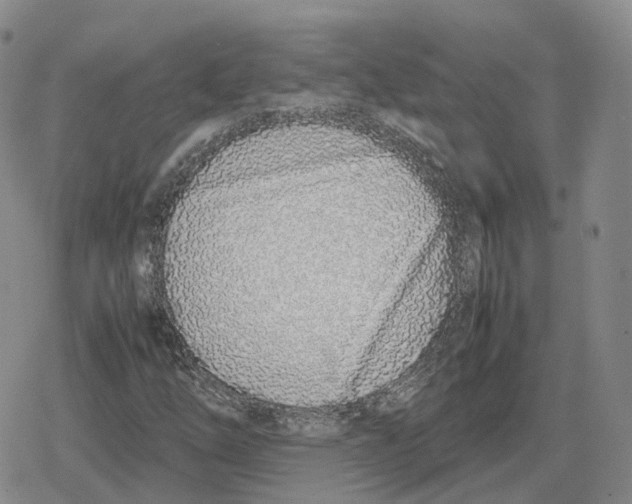 X0000079301254200612151718