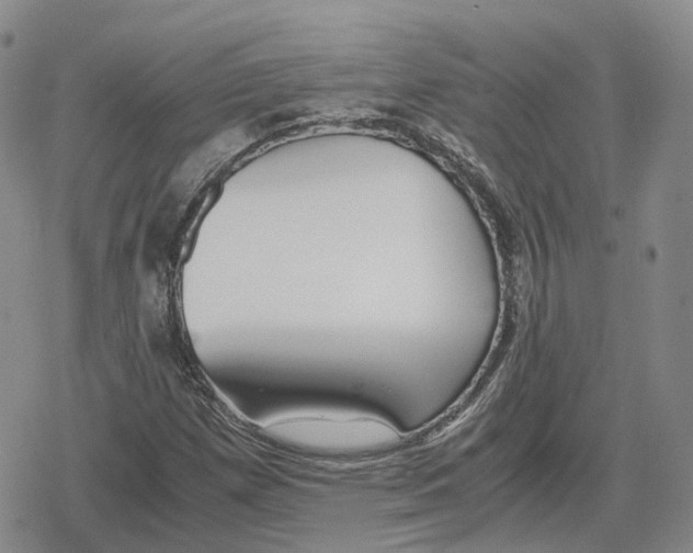 X0000079301257200612151718