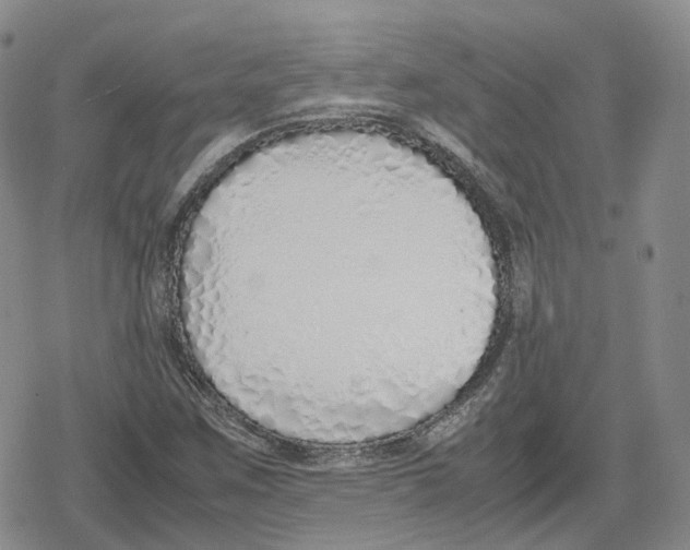 X0000079301259200612151718