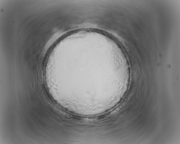 X0000079301271200612151718