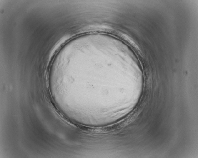 X0000079301275200612151718