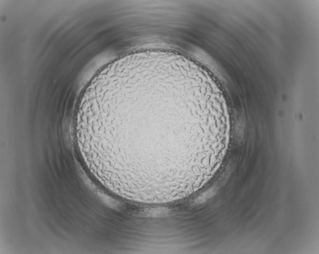 X0000079301282200612151718