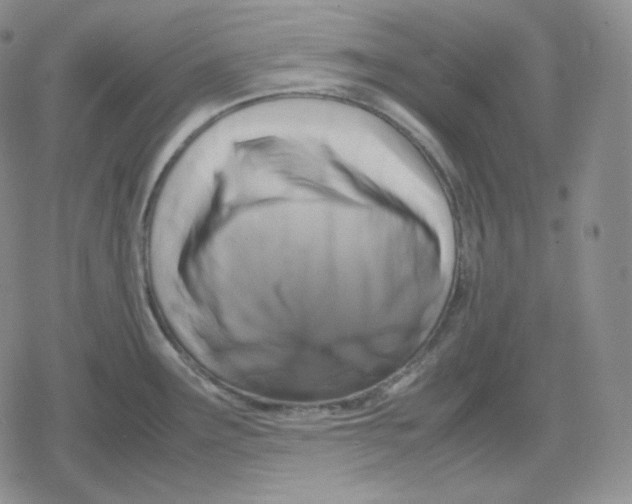 X0000079301291200612151718