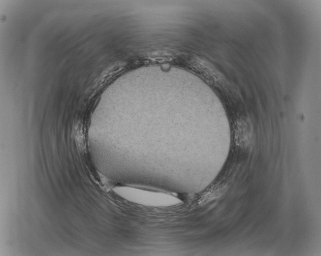 X0000079301298200612151717