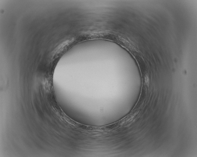 X0000079301300200612151717