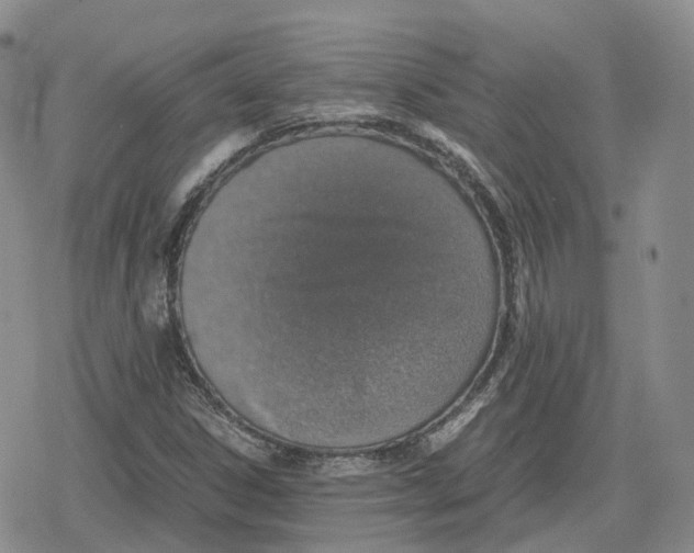 X0000079301306200612151717