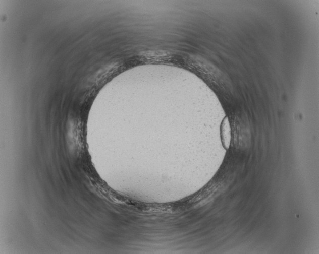 X0000079301346200612151717