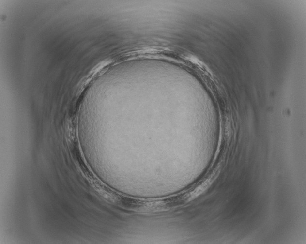 X0000079301353200612151717