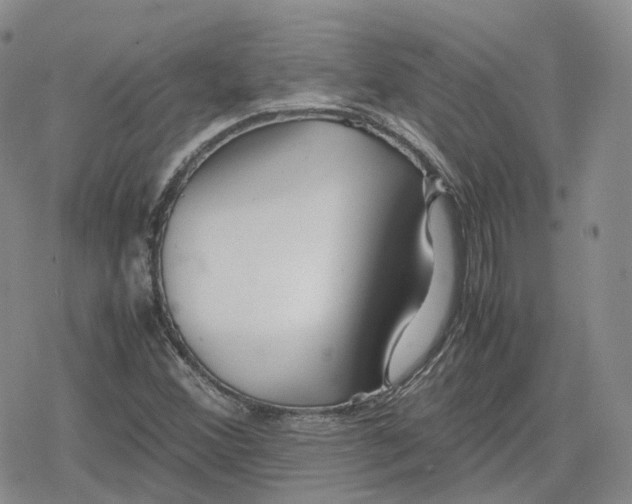 X0000079301356200612151717