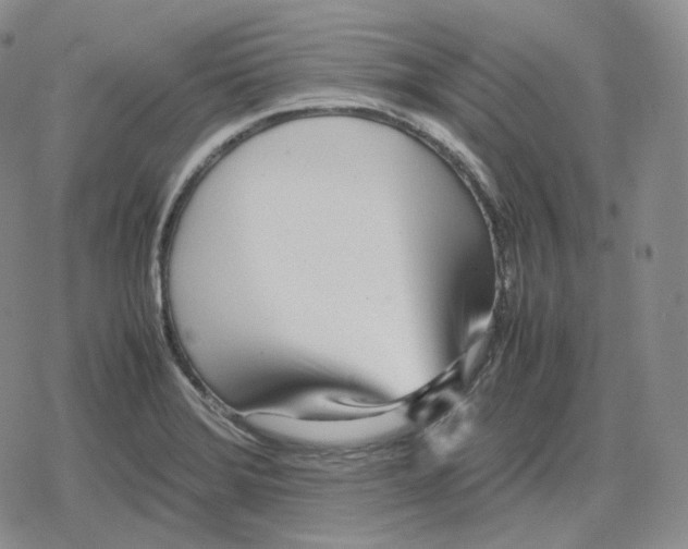 X0000079301372200612151716