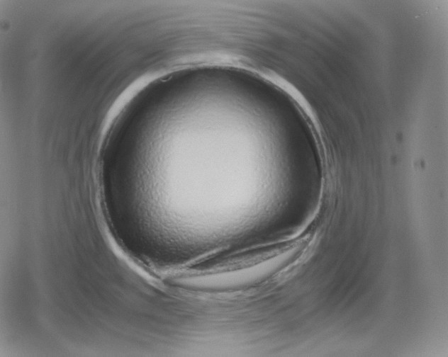 X0000079301389200612151716