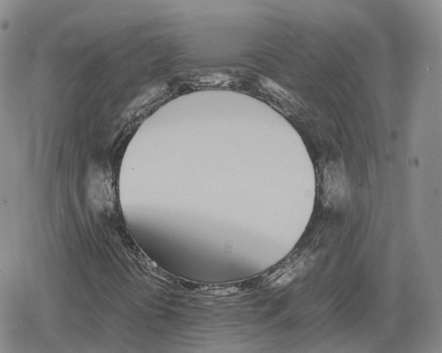 X0000079301394200612151715