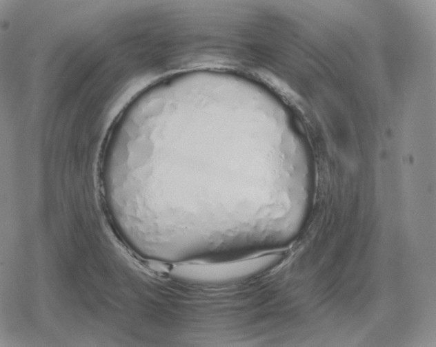 X0000079301423200612151716