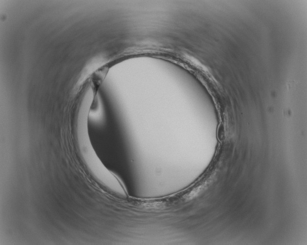 X0000079301453200612151715