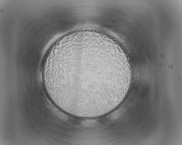 X0000079301462200612151715