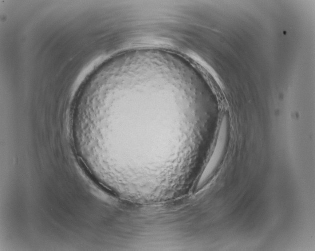 X0000079301477200612151715