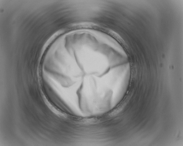 X0000079301482200612151714