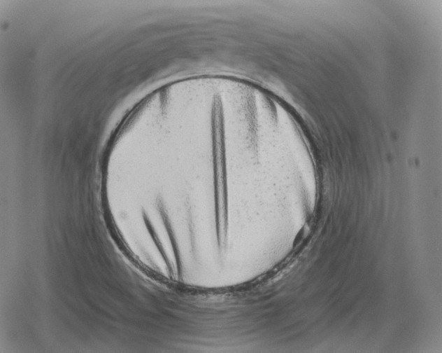 X0000079301508200612151714