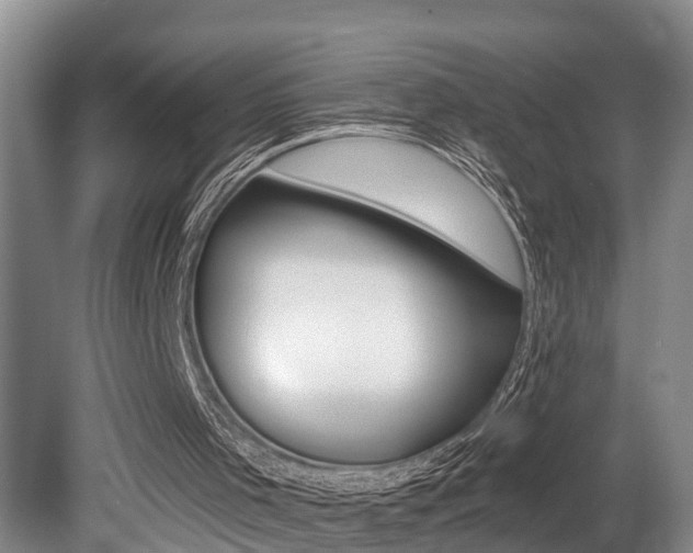 X0000079310001200611170907