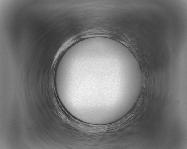 X0000079310004200611170907