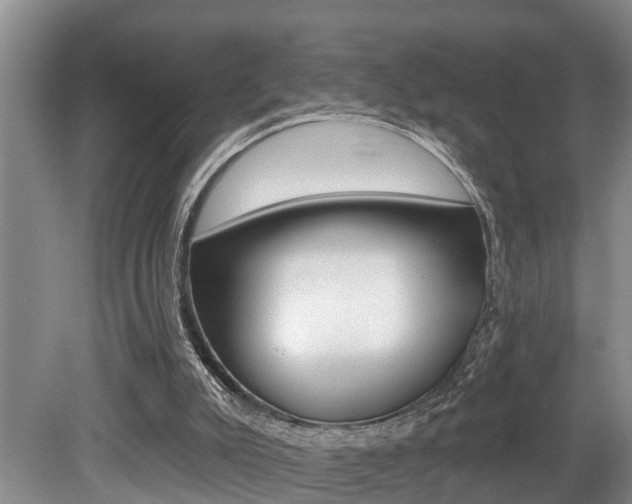 X0000079310007200611170907