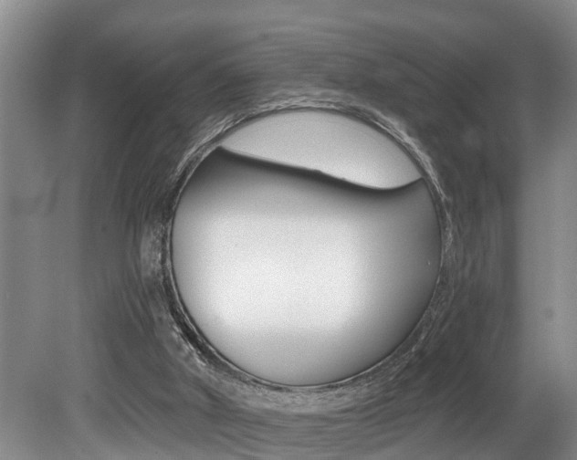 X0000079310010200611170907
