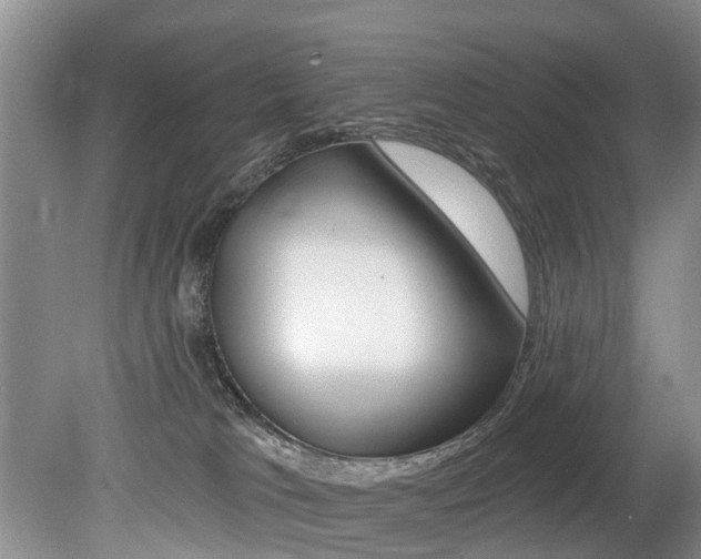 X0000079310037200611170906