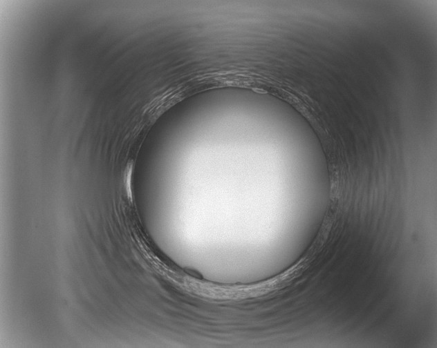 X0000079310047200611170906